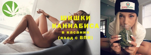 стаф Балахна