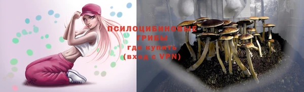 a pvp Балабаново