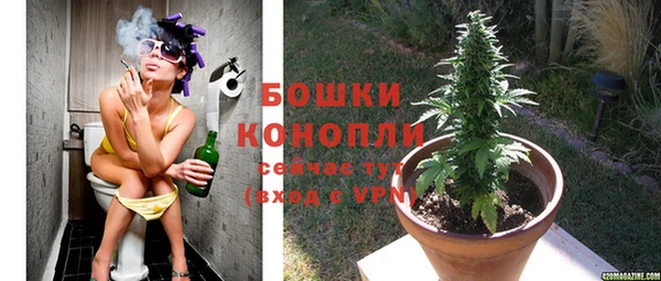 стафф Сосновый Бор