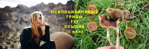 стаф Балахна
