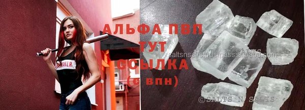 стаф Балахна