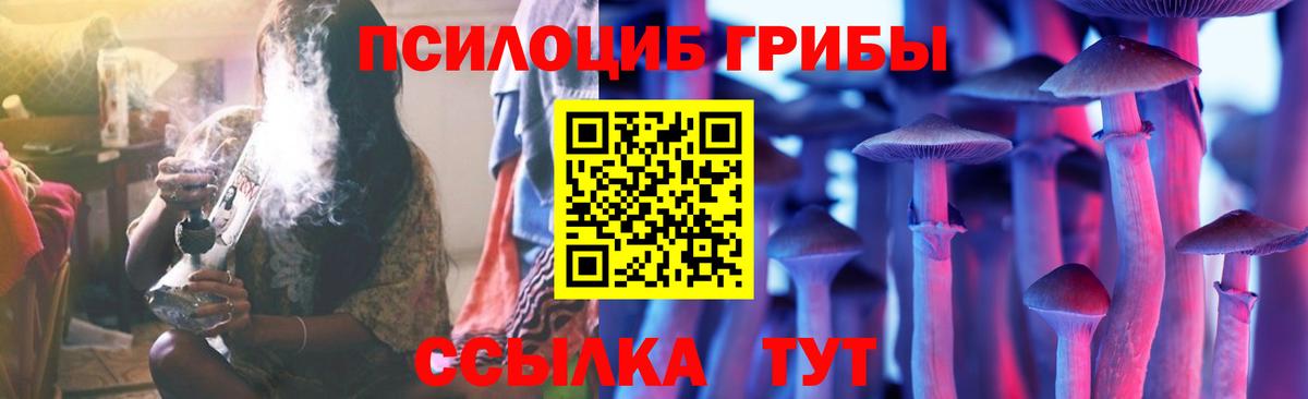 Галлюциногенные грибы прущие грибы  Вход с VPN  где найти   Галлюциногенные грибы мухоморы  Гудермес 